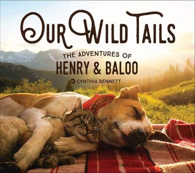 Our Wild Tails: The Adventures of Henry & Baloo - Bennett, Cynthia