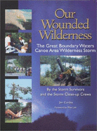 Our Wounded Wilderness - Cordes, Jim