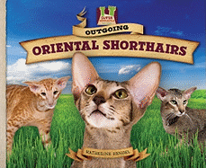 Outgoing Oriental Shorthairs