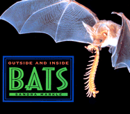Outside and Inside Bats