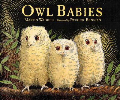 Owl Babies - Waddell, Martin