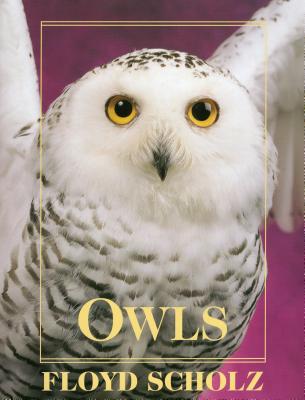 Owls - Scholz, Floyd