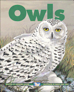 Owls