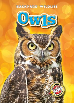 Owls - Schuetz, Kari