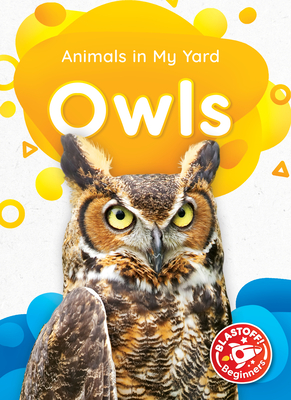 Owls - McDonald, Amy