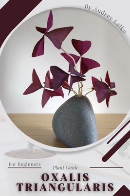 Oxalis triangularis: Plant Guide - Lalko, Andrey