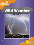 Oxford Reading Tree: Stage 6: Fireflies: Wild Weather - Smith, Ben