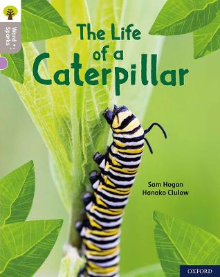 Oxford Reading Tree Word Sparks: Level 1: The Life of a Caterpillar - Clements, James (Series edited by), and Wilkinson, Shareen (Series edited by), and Hogan, Sam