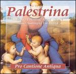 Palestrina: Missa l'Homme arm; Missa Assumpta est Maria - Pro Cantione Antiqua (choir, chorus)