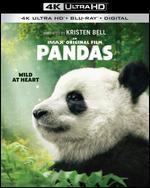 Pandas [4K Ultra HD Blu-ray/Blu-ray] [Only @ Best Buy]