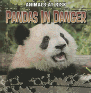 Pandas in Danger