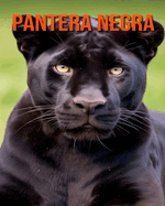 Pantera negra: Datos fascinantes sobre los Pantera negra para nios con imgenes impactantes!