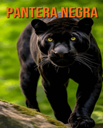 Pantera Negra: Curiosidades Divertidas e Fascinantes e Imagens Sobre o Pantera Negra