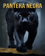 Pantera Negra: Curiosidades Divertidas e Interessantes e Imagens Sobre a Pantera Negra