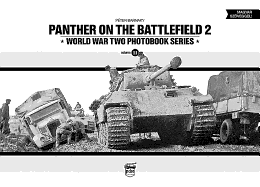 Panther on the Battlefield: Volume 2