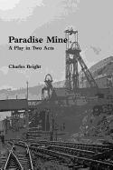 Paradise Mine