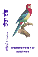 Parrot Colors (in Punjabi): A Child's Introduction to Colors in the Natural World.