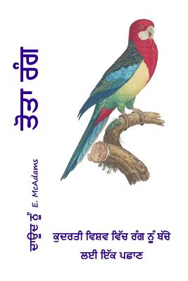 Parrot Colors (in Punjabi): A Child's Introduction to Colors in the Natural World. - McAdams, David E, and Bouquet, Professor (Illustrator)