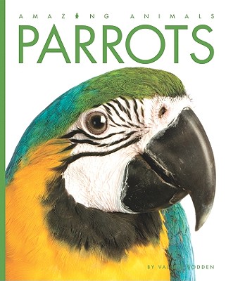 Parrots - Bodden, Valerie