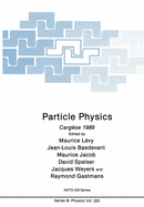 Particle Physics: Cargese 1989