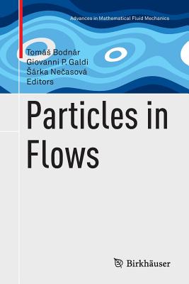 Particles in Flows - Bodnr, Toms (Editor), and Galdi, Giovanni P (Editor), and Ne asov, Srka (Editor)