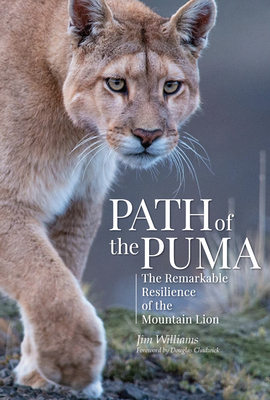 Path of the Puma: The Remarkable Resilience of the Mountain Lion - Williams, Jim, and Glickman, Joe, and Chadwick, Douglas (Foreword by)