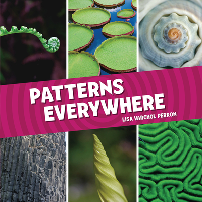 Patterns Everywhere - Perron, Lisa Varchol