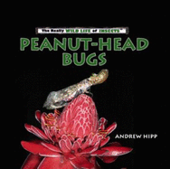 Peanut-Head Bugs - Hipp, Andrew