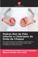 Pedras Rim do Plo Inferior e Litotripsia da Onda de Choque