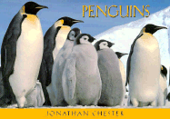 Penguins: A Postcard Book
