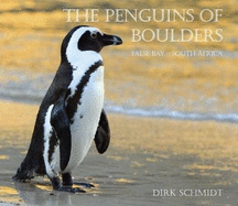 Penguins of Boulders