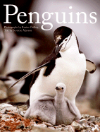 Penguins - Ostling, Brutus, and Akesson, Susanne