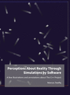 Perceptions About Reality Through Simulations by Software: A few illustrations and annotations about The C++ Project