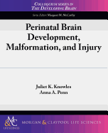 Perinatal Brain Development, Malformation, and Injury