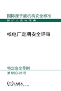 Periodic Safety Review for Nuclear Power Plants (Chinese Edition)
