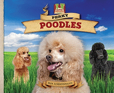 Perky Poodles