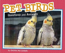 Pet Birds: Questions and Answers