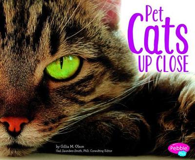 Pet Cats Up Close - Saunders-Smith, Gail (Consultant editor), and Olson, Gillia M