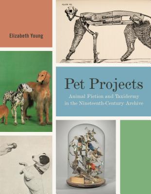 Pet Projects: Animal Fiction and Taxidermy in the Nineteenth-Century Archive - Young, Elizabeth