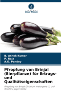 Pfropfung von Brinjal (Eierpflanze) fr Ertrags- und Qualittseigenschaften