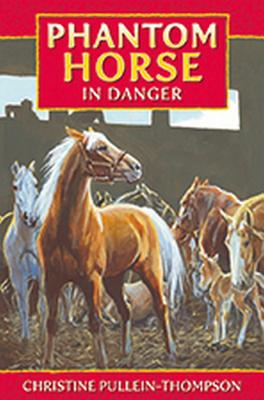 Phantom Horse in Danger - Pullein-Thompson, Christine