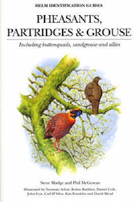 Pheasants, Partridges & Grouse: Including buttonquails, sandgrouse and allies - McGowan, Phil, and Madge, Steve