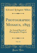 Photographic Mosaics, 1895, Vol. 31: An Annual Record of Photographic Progress (Classic Reprint)