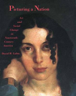 Picturing a Nation: Art and Social Change in Nineteenth-Century America - Lubin, David M