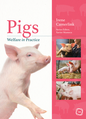 Pigs Welfare in Practice - Camerlink, Irene