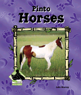 Pinto Horses