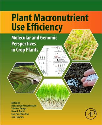 Plant Macronutrient Use Efficiency: Molecular and Genomic Perspectives in Crop Plants - Hossain, Mohammad Anwar (Editor), and Kamiya, Takehiro (Editor), and Burritt, David (Editor)