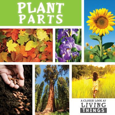 Plant Parts - Cavell-Clarke, Steffi