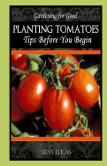 Planting Tomatoes: Tips Before You Begin