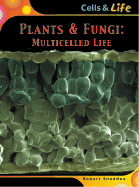 Plants and Fungi: Multicelled Life